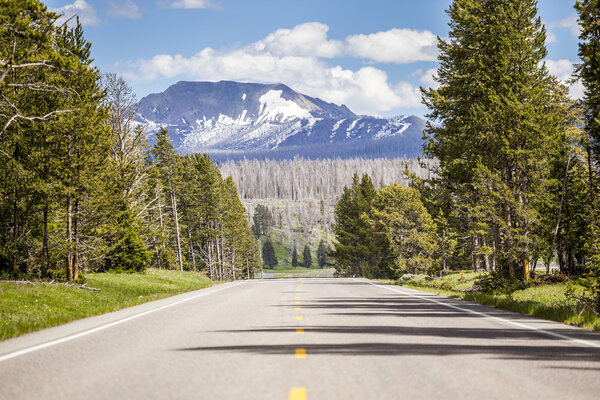 Дорога через лес, прямо в горы
. 