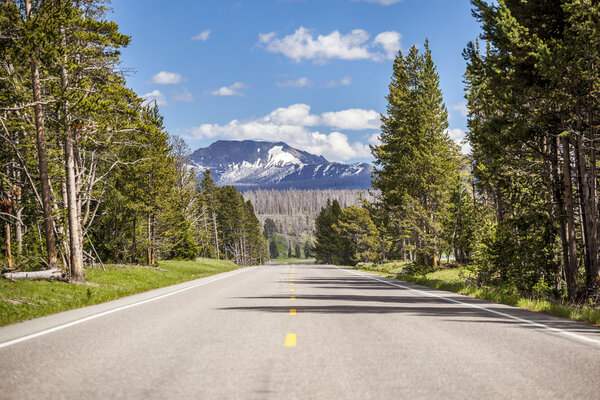 Дорога через лес, прямо в горы
. 