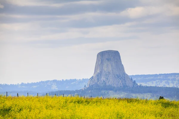 Devils tower nationalmonument — Stockfoto