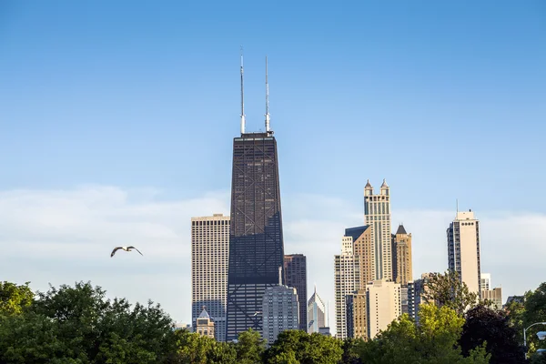 Чикаго горизонт, штат Іллінойс, США — стокове фото