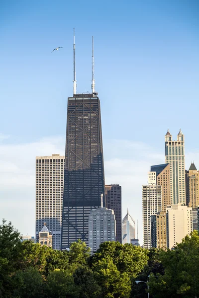 Chicago manzarası, Illinois, ABD — Stok fotoğraf