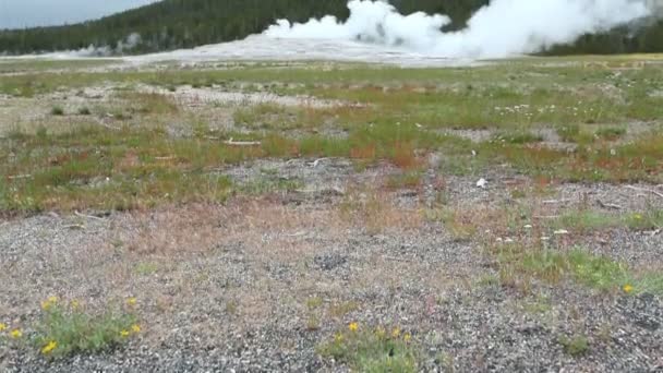 Vecchio geyser fedele, Parco Nazionale di Yellowstone — Video Stock