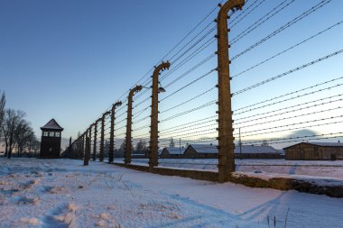 Fence around concentration camp of Auschwitz Birkenau, Poland clipart