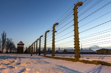 Auschwitz Birkenau'da, Polonya toplama kampı çit