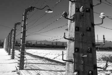 Auschwitz Birkenau'da, Polonya toplama kampı çit