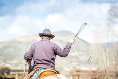 Yeni doğan buzağı yakalama kovboylar