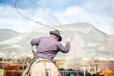 Cowboys catching newly born calves clipart