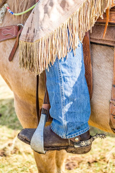Cowboy sur un cheval — Photo