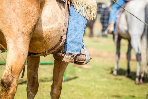 Cowboy em um cavalo — Fotografia de Stock