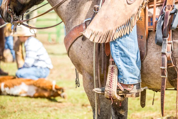 Cowboy on a horse — Stock Photo, Image