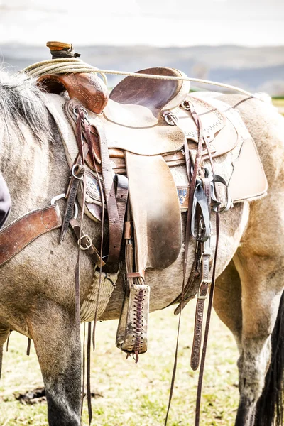 Sedlo koně na ranči — Stock fotografie