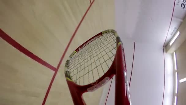 Playing squash on a court. — Stock Video