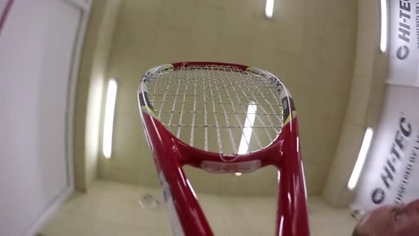 Jogando squash em um tribunal . — Vídeo de Stock