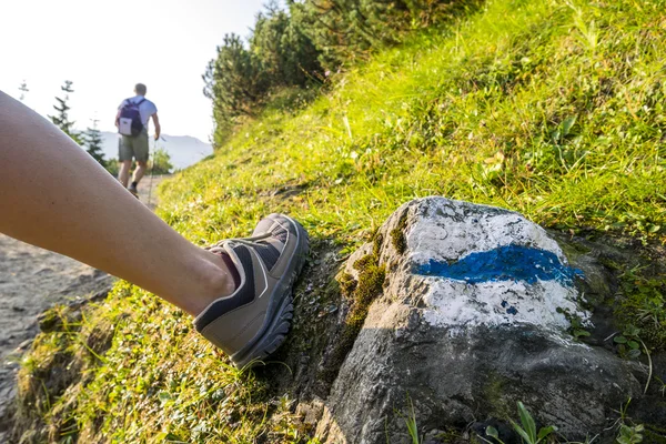 Escursionisti su un sentiero in splendide montagne — Foto Stock