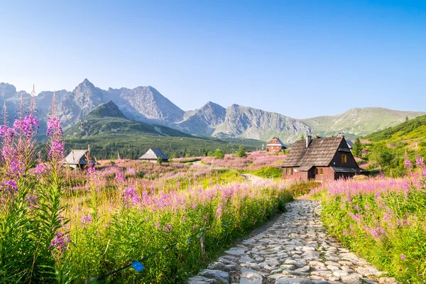 Wooden huts scattered on flowery meadow — Stock Photo, Image