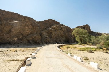 Big Daddy Dune and Deadvlei, Namibia is Towering red dune above Deadvleis ancient dead camelthorn trees and white clay pan.