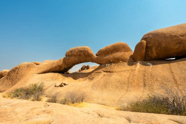 Namibya 'daki Spitzkoppe Halk Kampı' nda Granit tepeler ve engebeli çöl manzaraları. Dağılmış akasya ağaçlarıyla altın çayırlar, berrak gökyüzünün altındaki dramatik kayalık dağlara karşı tezat oluşturuyor..