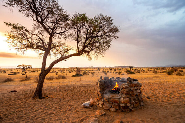 Golden sunset over the North Windhok, Namibian savanna with scattered trees and strong structure on the horizon. Warm evening light and vivid colors capture the calm beauty of the African landscape.