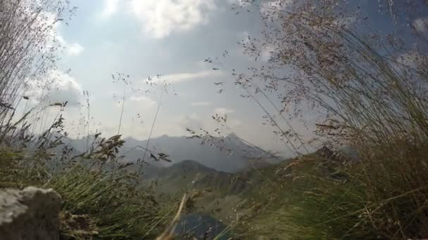 Hierba moviéndose por el viento en las montañas — Vídeos de Stock