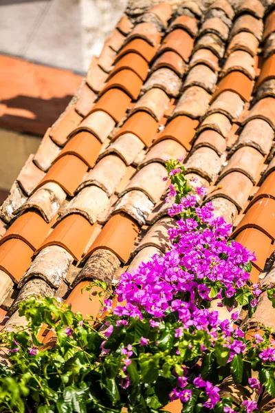 Flores púrpuras sobre tejas mediterráneas —  Fotos de Stock