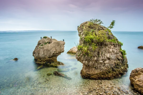 Незвичайні скелі з птахами — стокове фото