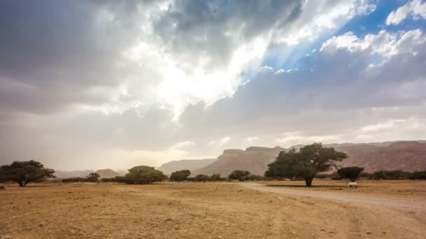 Bandiera israeliana sventola sul vento — Video Stock