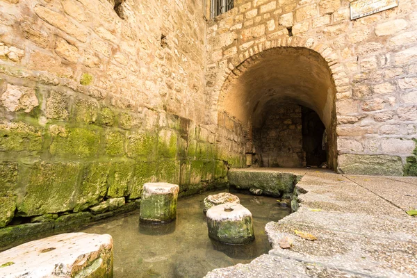 Pool of Siloam, Gerusalemme, Israele — Foto Stock