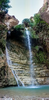 Tr Gedi tabiatı ve Milli Parkı, İsrail