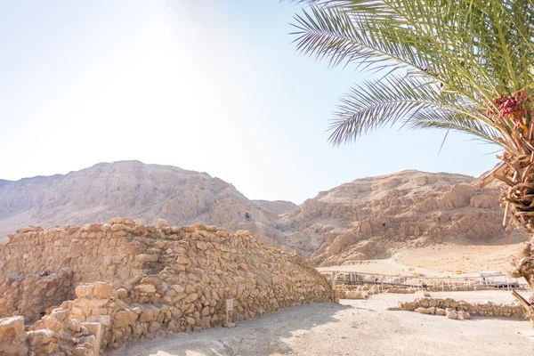 Udgravninger i Qumran, hvor Essenes gemmer skriftruller med Bibelen - Stock-foto