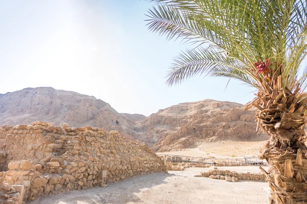 Excavations in Qumran, where Essenes hide scrolls with the Bible — Stock Photo, Image