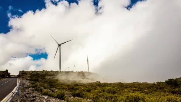 Moderne Windmühlen — Stockvideo