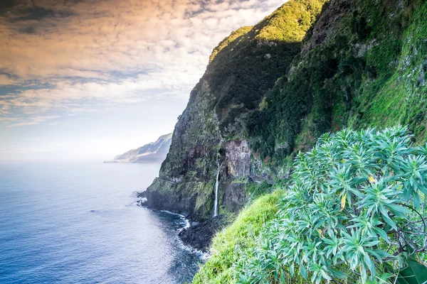 Vackra kusten Madeira island — Stockfoto