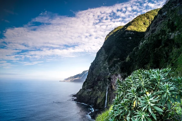 Vackra kusten Madeira island — Stockfoto