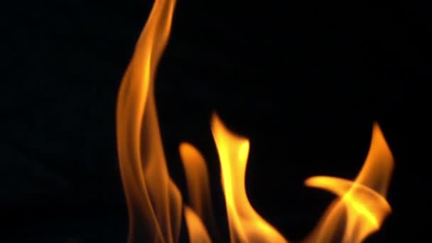 Огненное пламя в замедленной съемке на черном . — стоковое видео