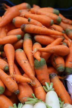 Yakın plan taze havuç yığını, canlı turuncu renk ve doğal doku. Sağlıklı beslenme, organik tarım, taze üretim, vejetaryen beslenme ve beslenme konuları için ideal 