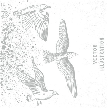 Grunge kuşlar beyaz