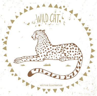 Cheetah çerçeve içinde