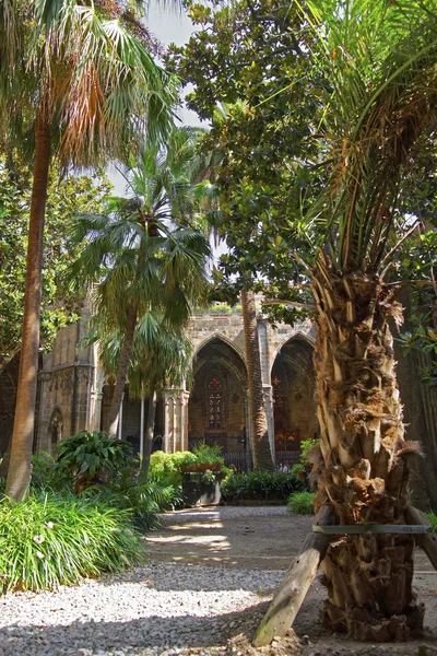 Cloister av Barcelonakatedralen i de gotiska kvarteren — Stockfoto