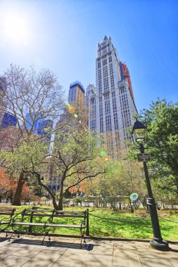 City Hall Parkı aşağı Manhattan'nda tezgah