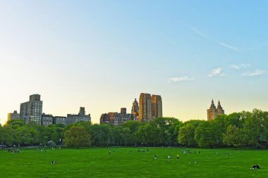 Yeşil çim ve Central Park Batı Manhattan siluetinin