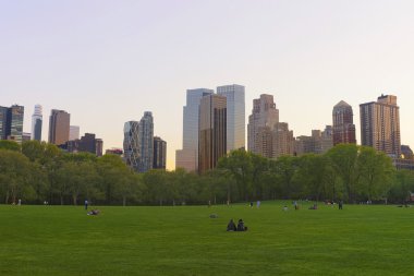 Yeşil çim ve Midtown Manhattan siluetinin Central Park South