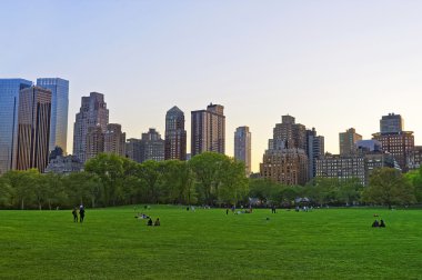 Central Park Batı Manhattan manzarası ve yeşil çim