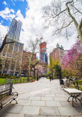 Aşağı Manhattan'daki Belediye Binası Parkı'ndaki Banklar