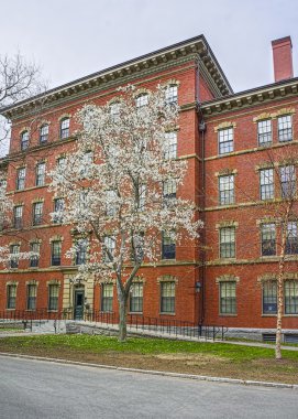 Dormitory of Harvard Yard in Harvard University clipart