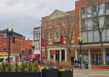 Cambridge Harvard işbirliği toplumda