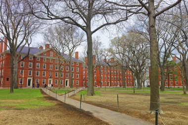 Hollis Hall and Stoughton Hall in Harvard Yard clipart