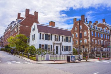 Cambridge Harvard Üniversitesi Bölgesinde John F Kennedy Street
