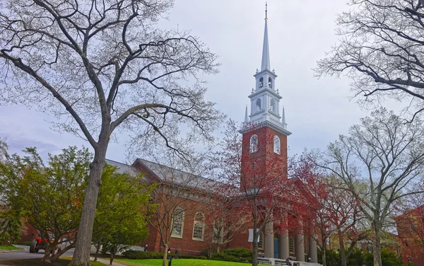 В'їзд Меморіальної церкви і туристів у Гарвардському дворі — стокове фото