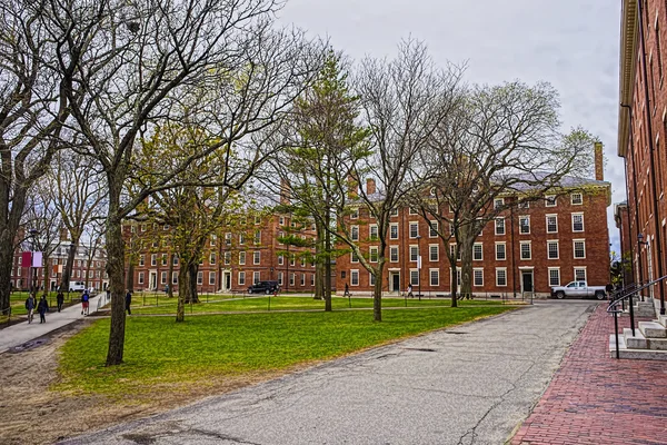 Hollis Hall y Stoughton Hall en Harvard Yard — Foto de Stock