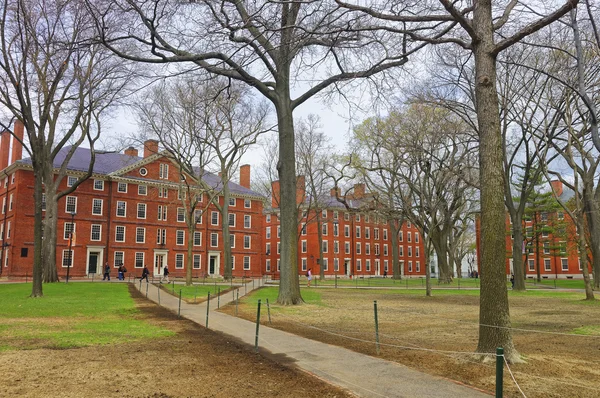 Hollis Hall et Stoughton Hall dans Harvard Yard — Photo